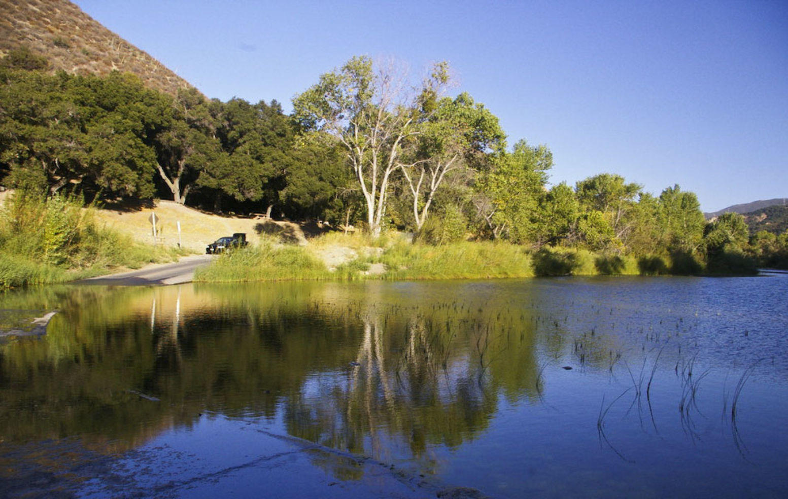 Los Padres National Forest