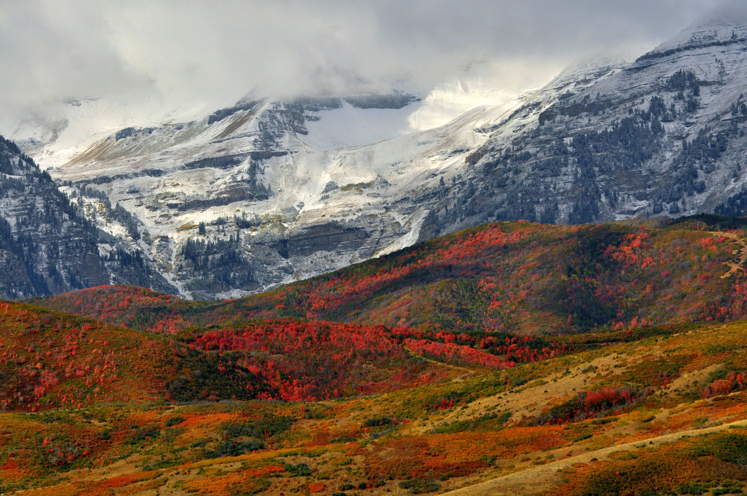 Utah