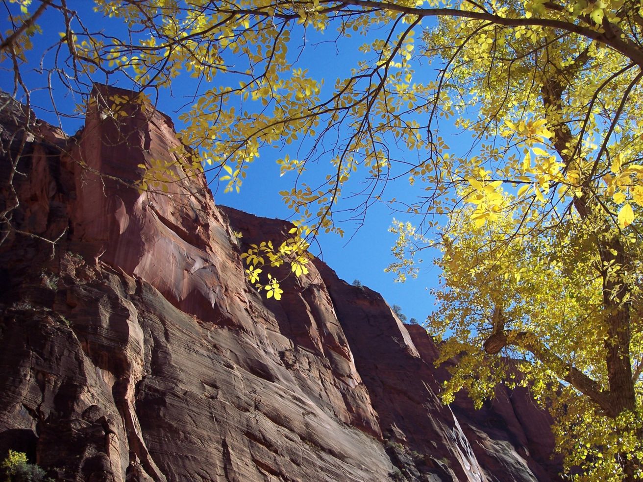 Zion
