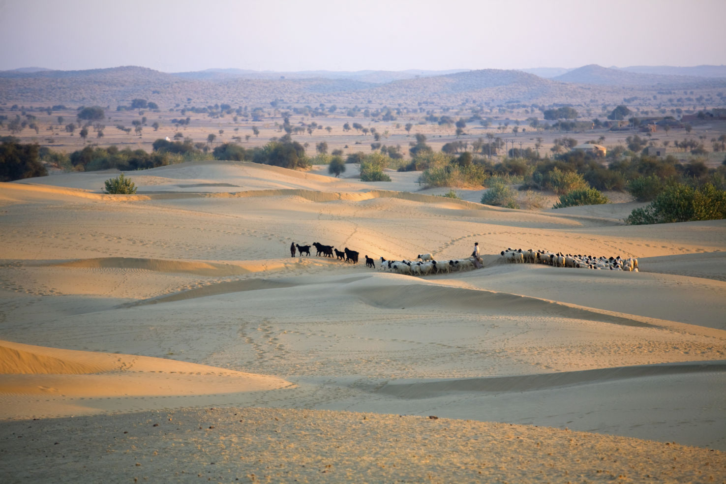 India