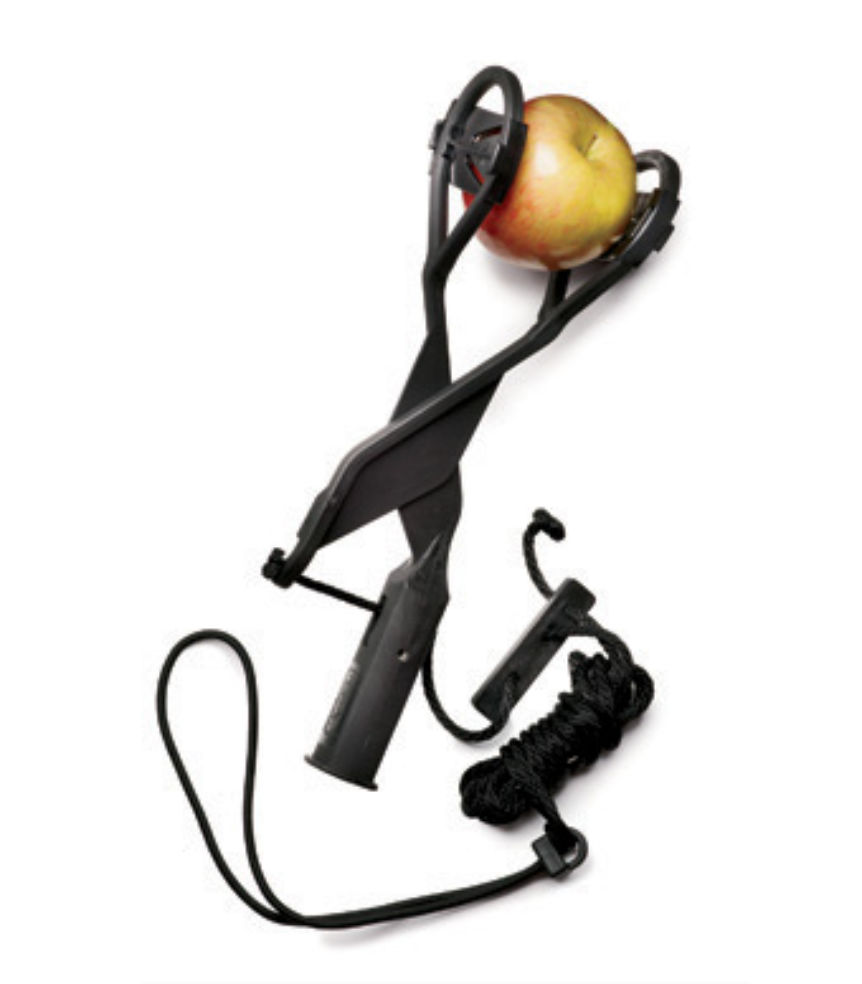Fruit Picker