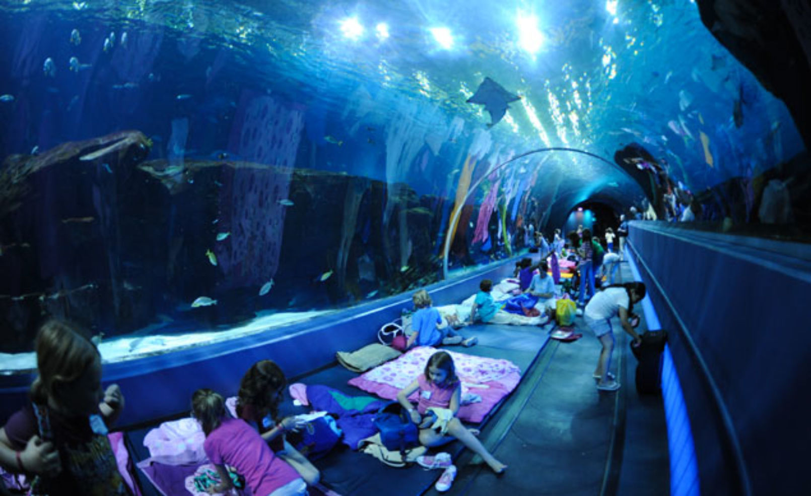 Georgia Aquarium