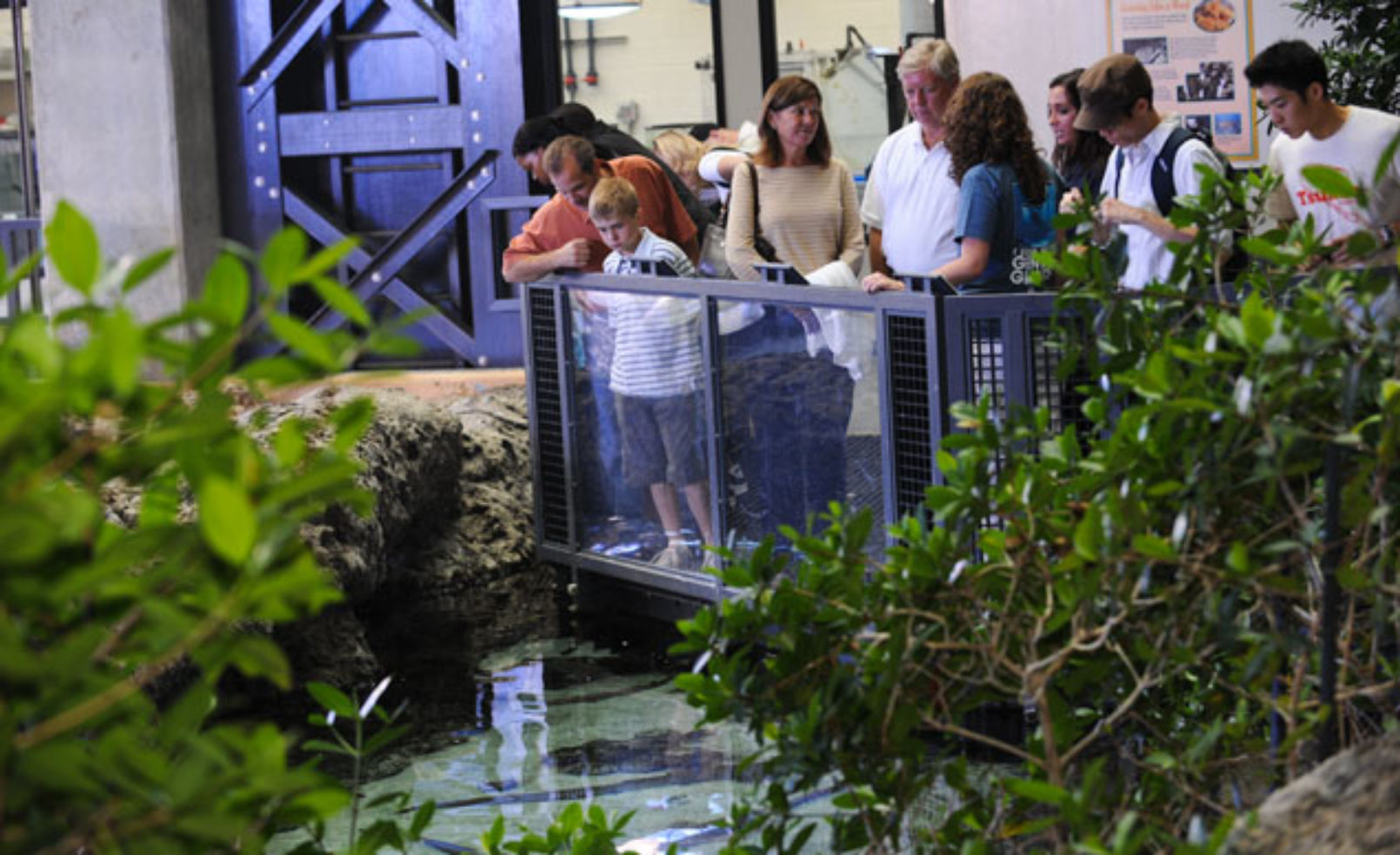 Georgia Aquarium
