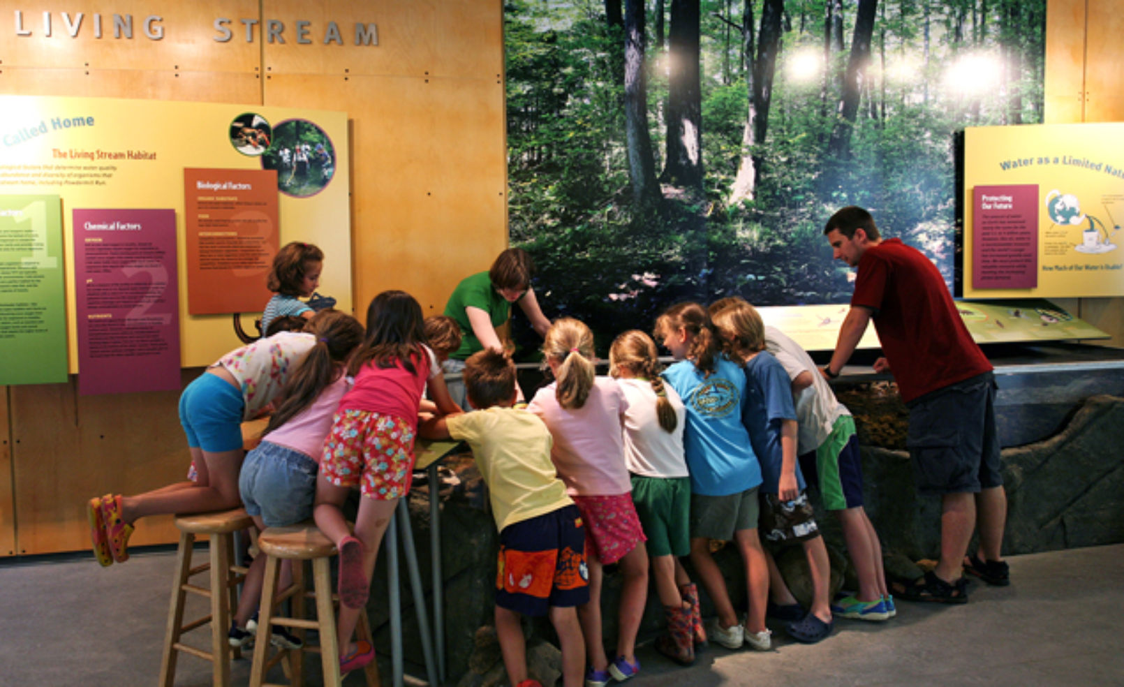 Carnegie Natural History Museum