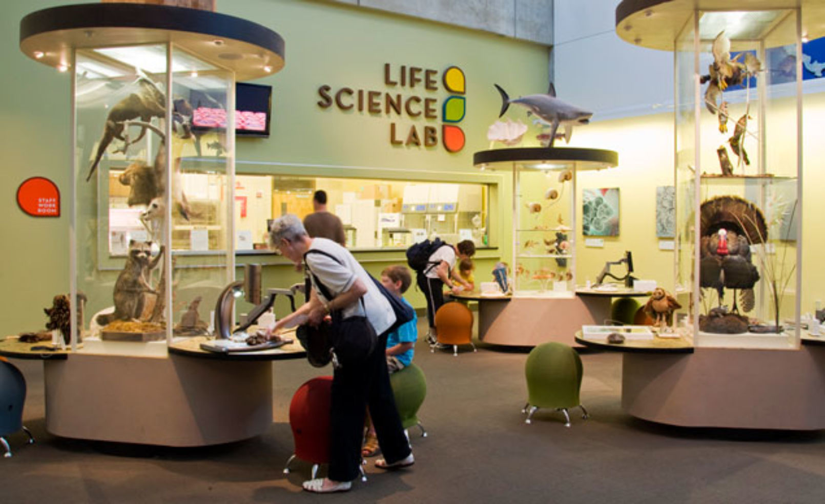 St. Louis Science Center
