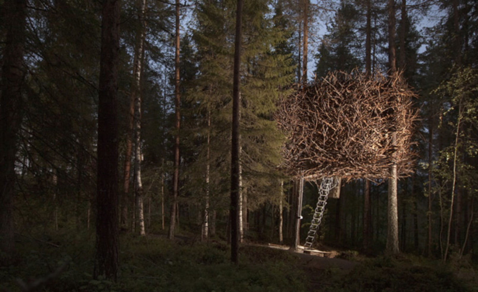 Treehotel