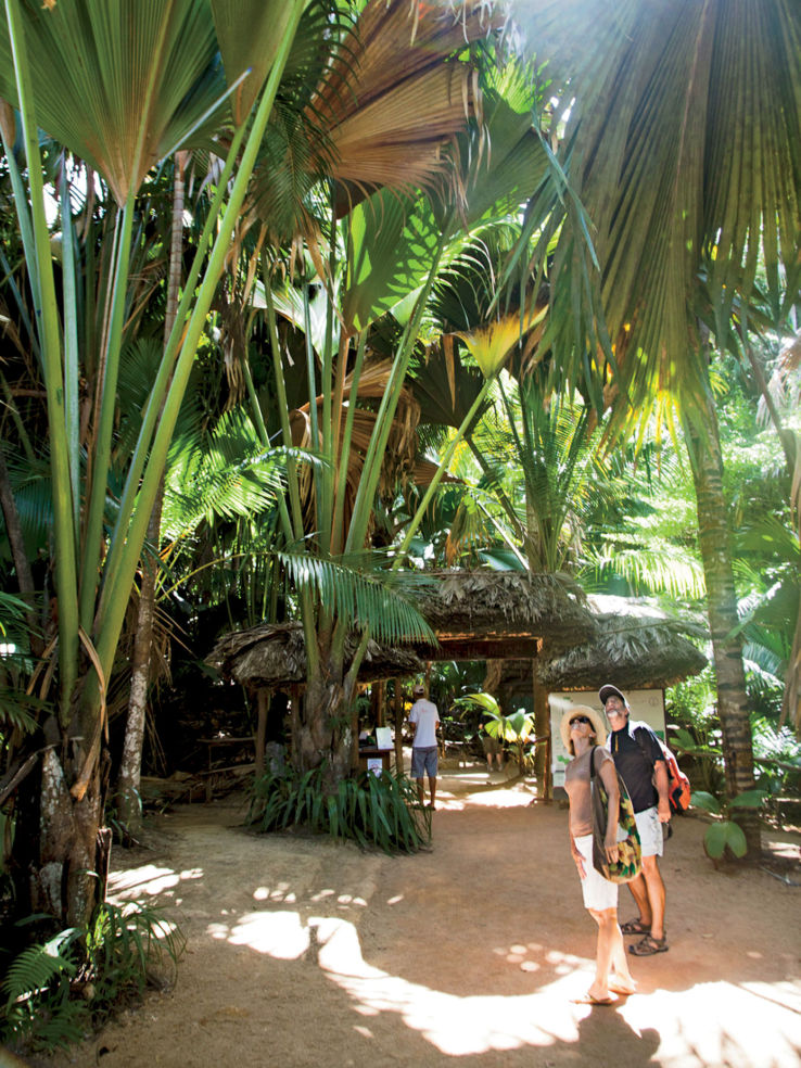 Vallee du Mai