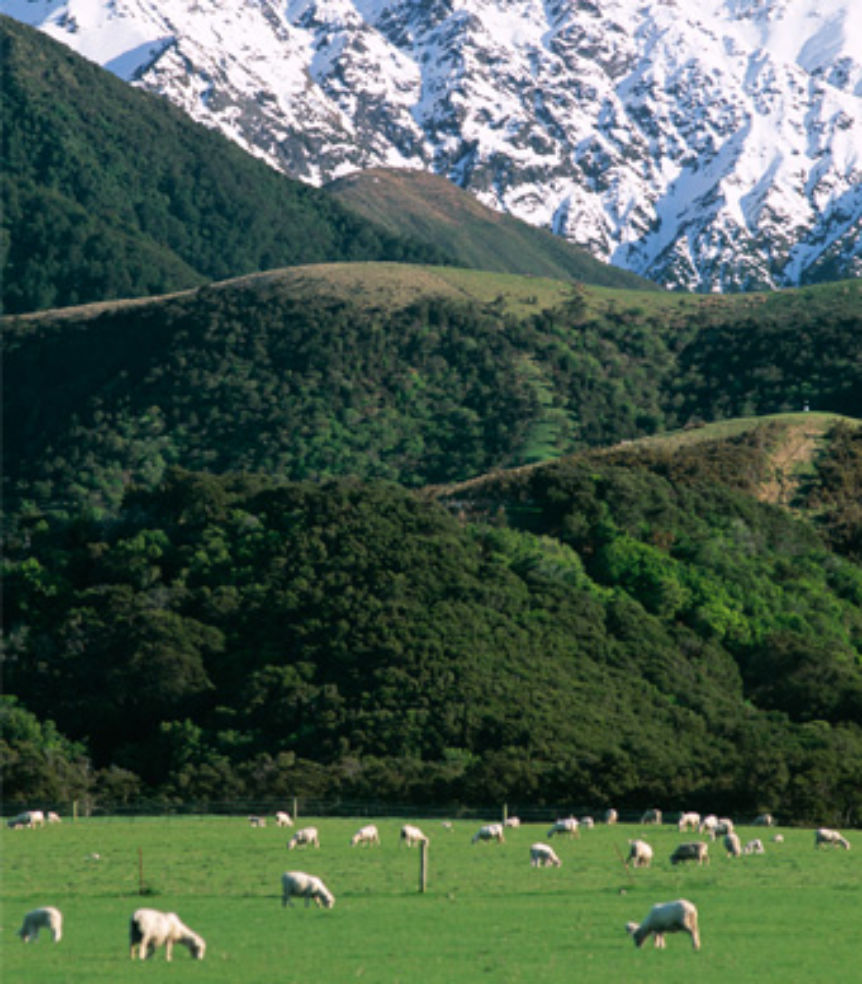 New Zealand