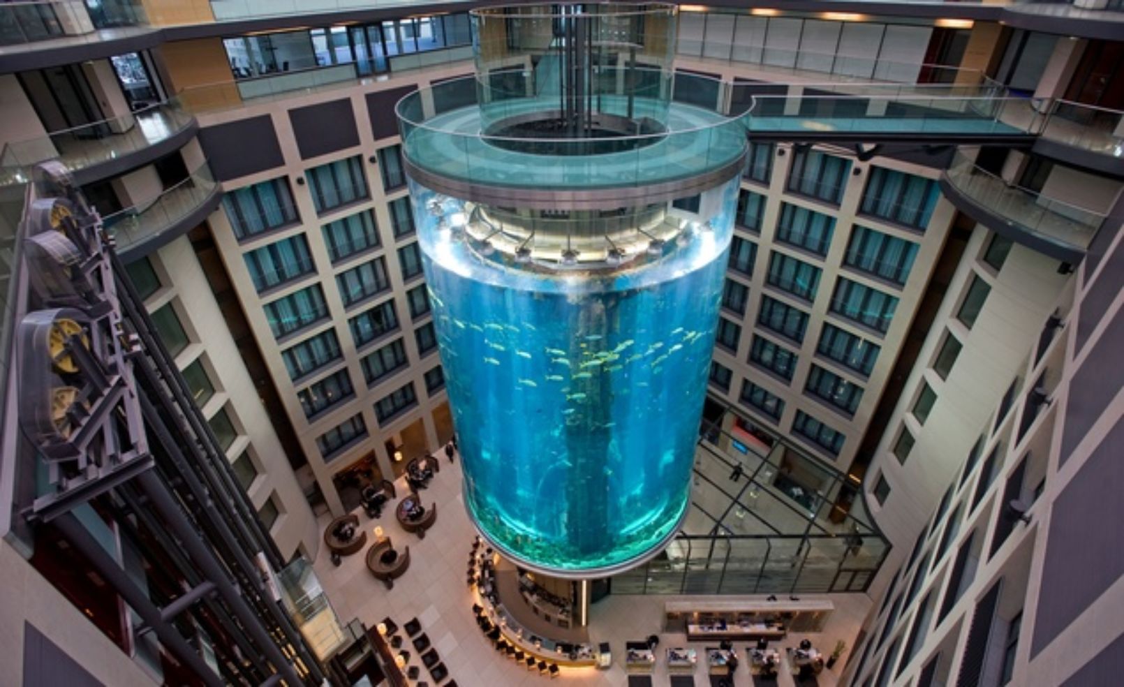 AquaDom