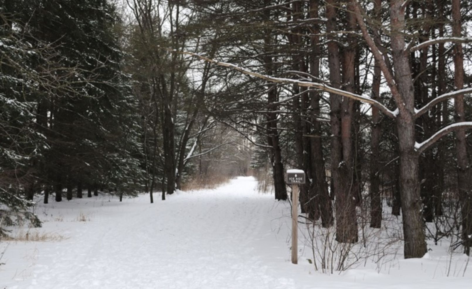 Chetek, WI