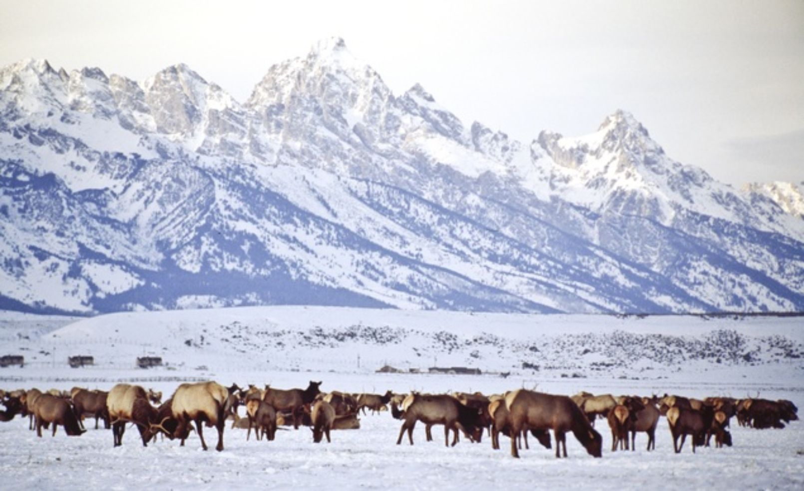 Jackson Hole, WY