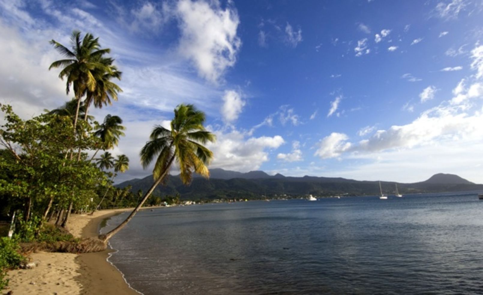 Dominica