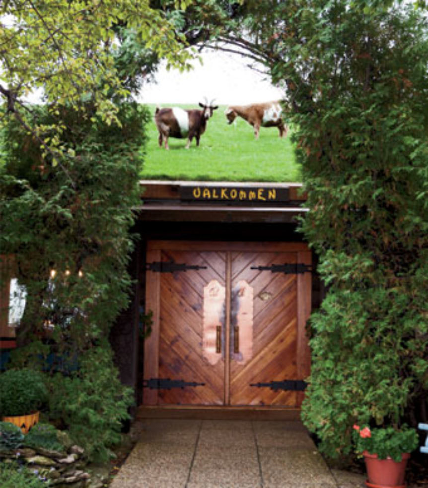 goats grazing