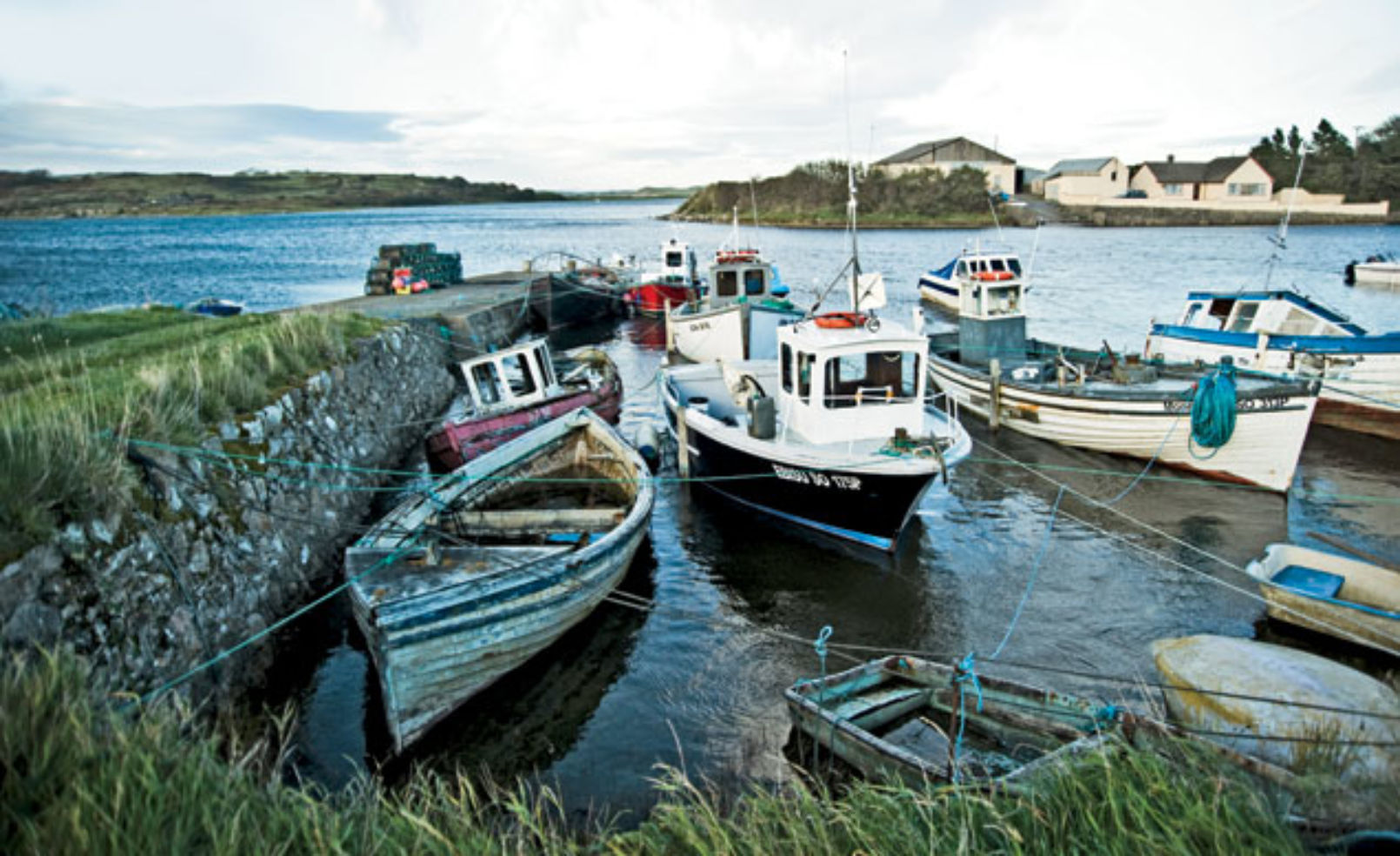 Lurganboy