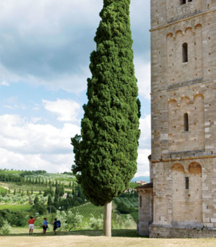 The Abbey of Sant'Antimo
