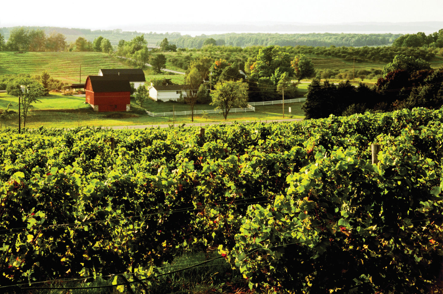 Michigan's Old Mission Peninsula near Grand Traverse Bay