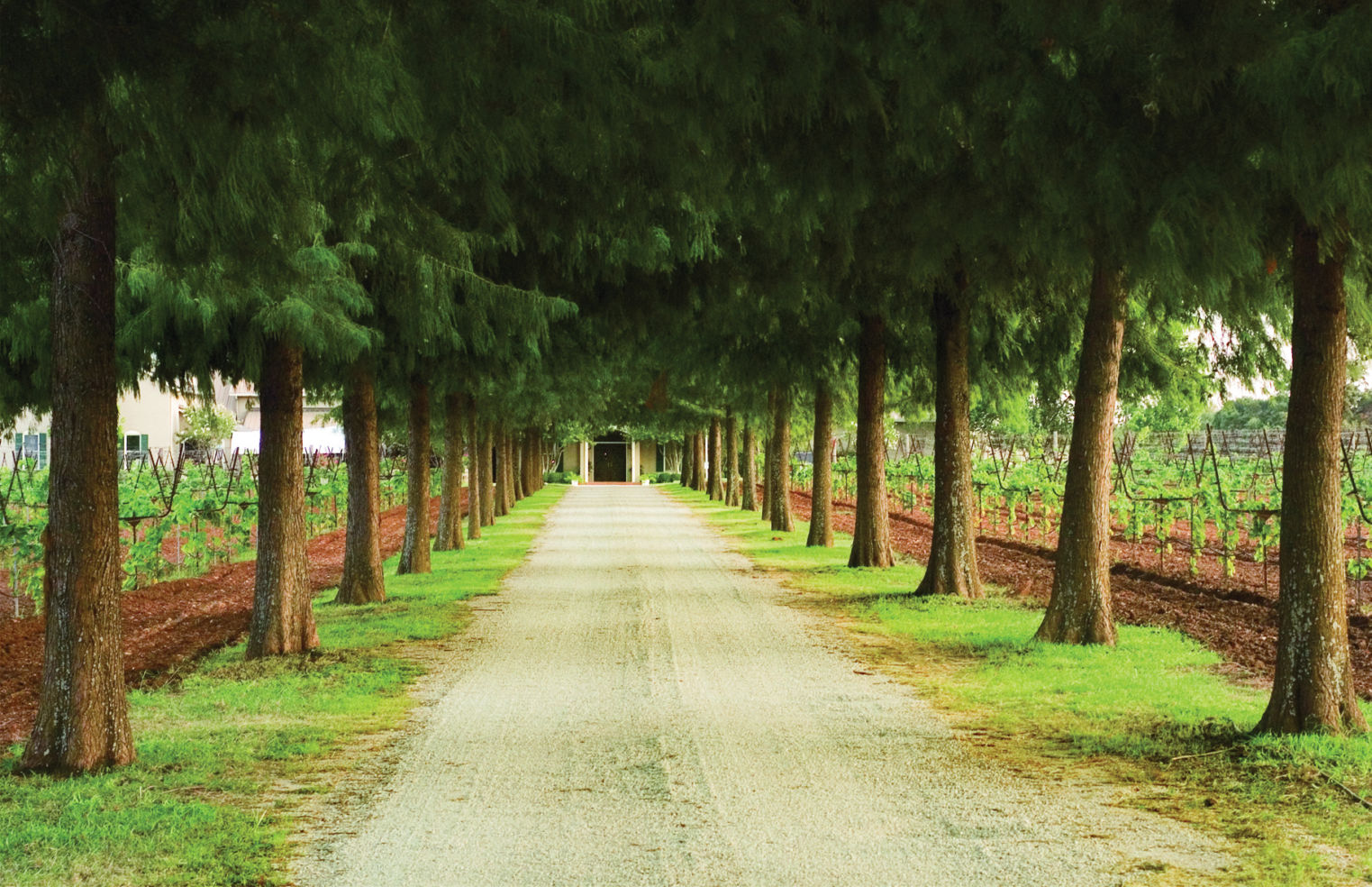 Entrance to Fall Creek Vineyards in Tow, Tex.