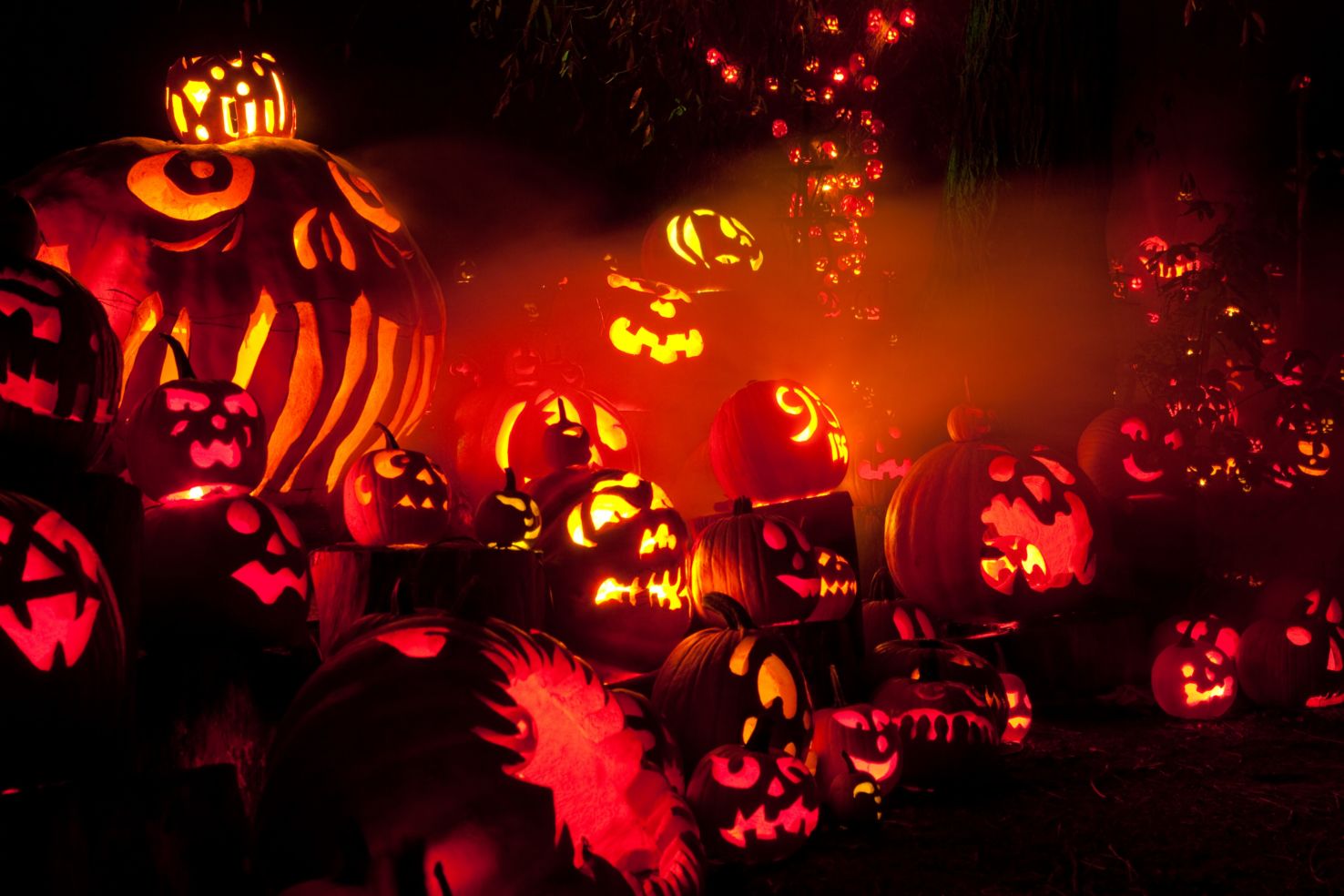 Jack-O-Lantern Spectacular, Roger Williams Park Zoo, Providence, Rhode Island, Halloween