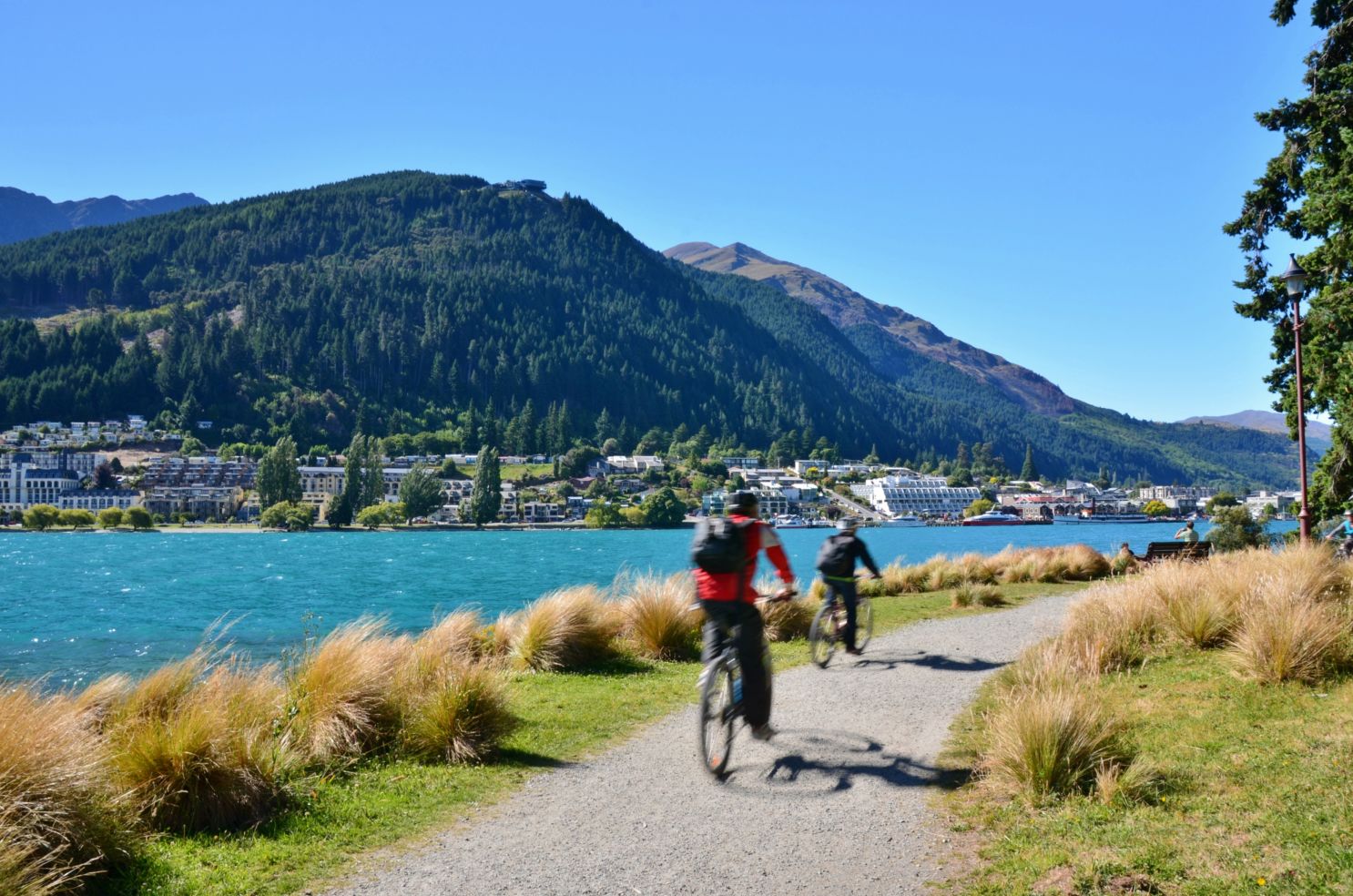 Botanic Gardens in Queenstown, New Zealand