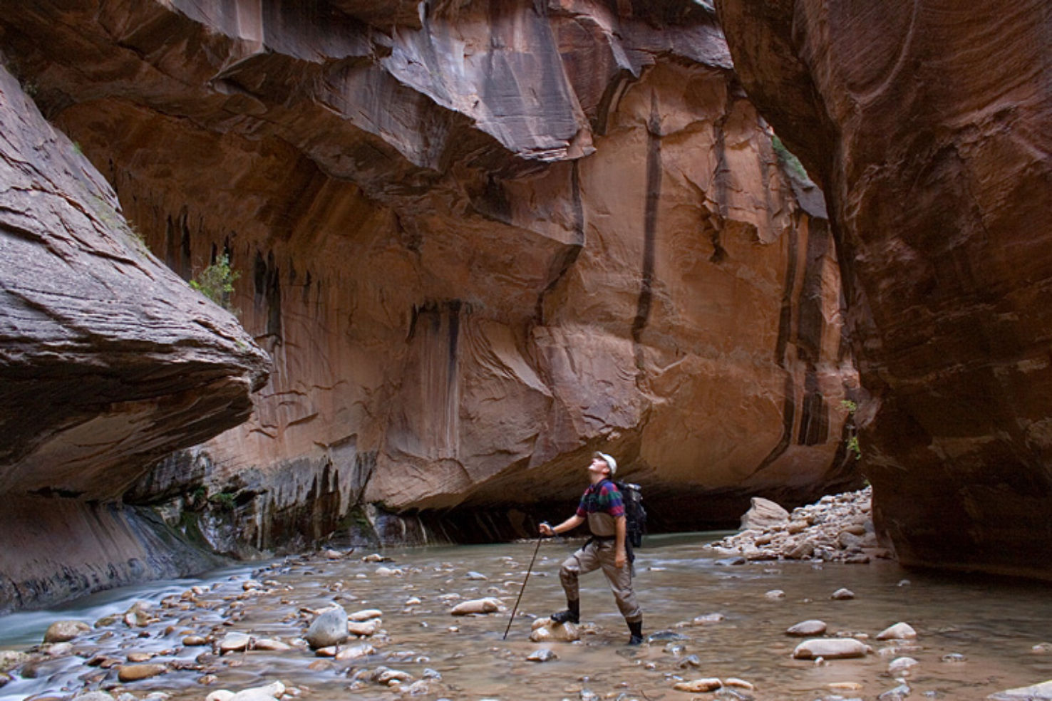 Zion National Park