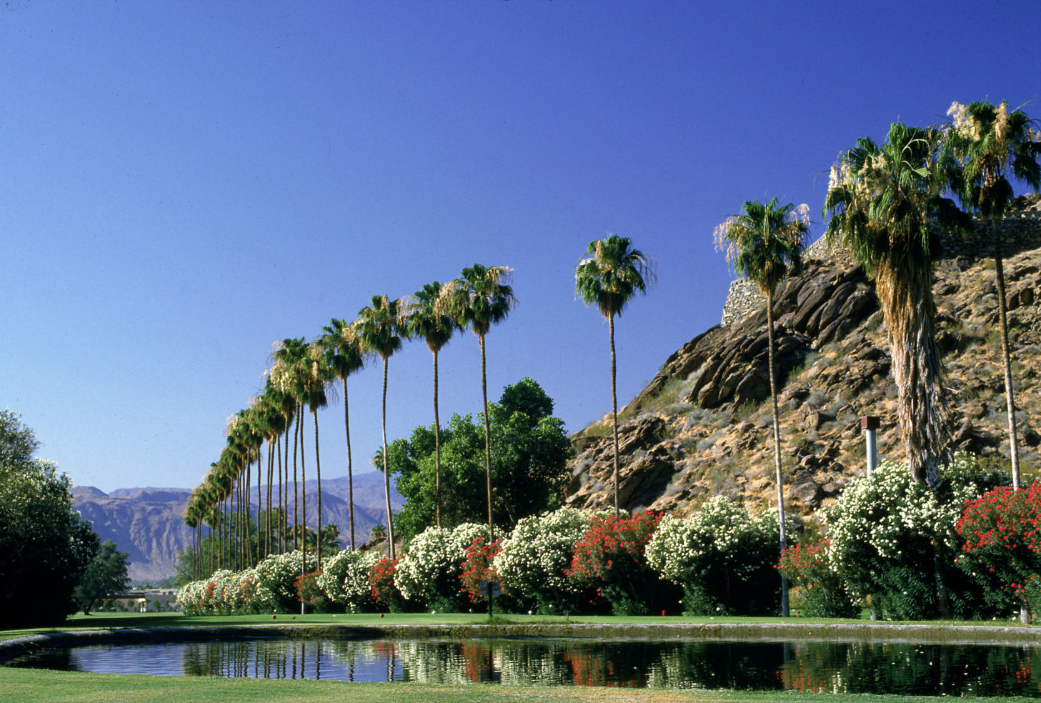 A view of Palm Springs, California