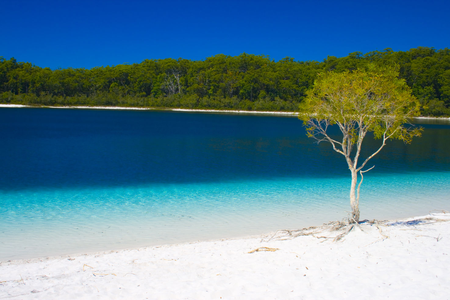 Fraser Island, Australia