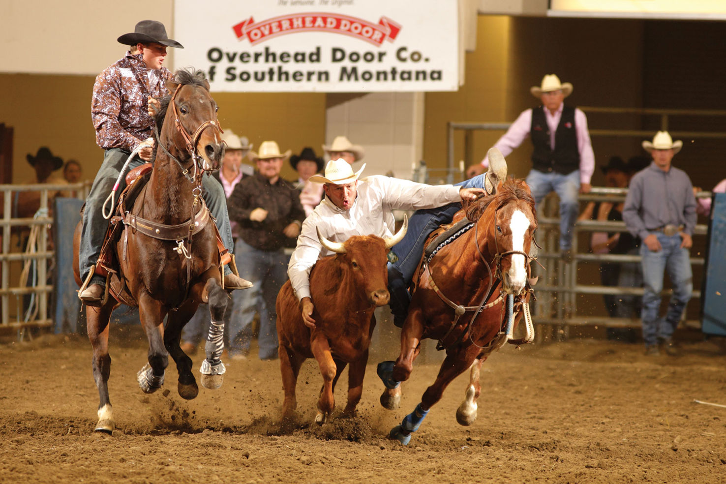 Western Culture, Billings, Montana