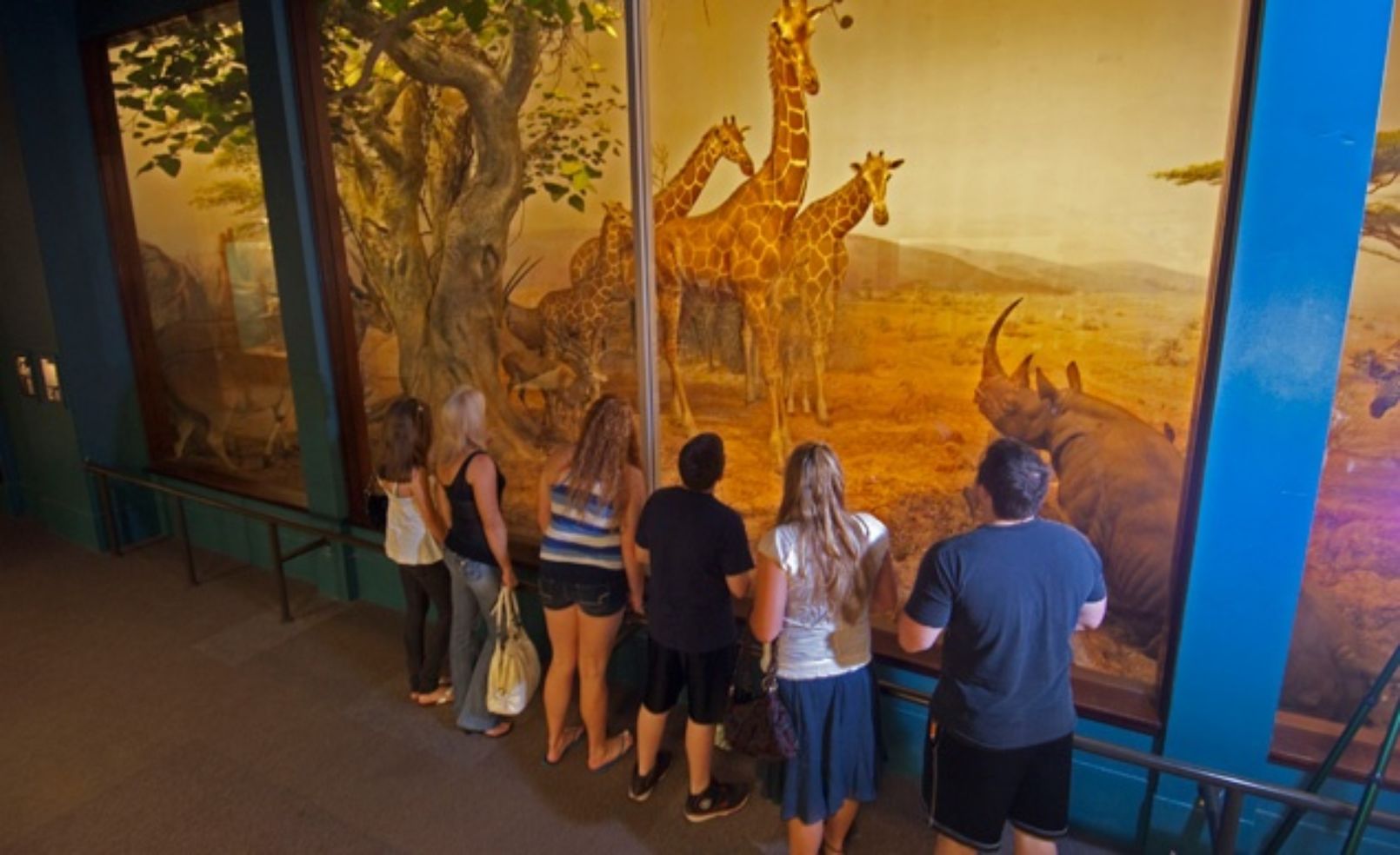 Inside the Field Museum in Chicago