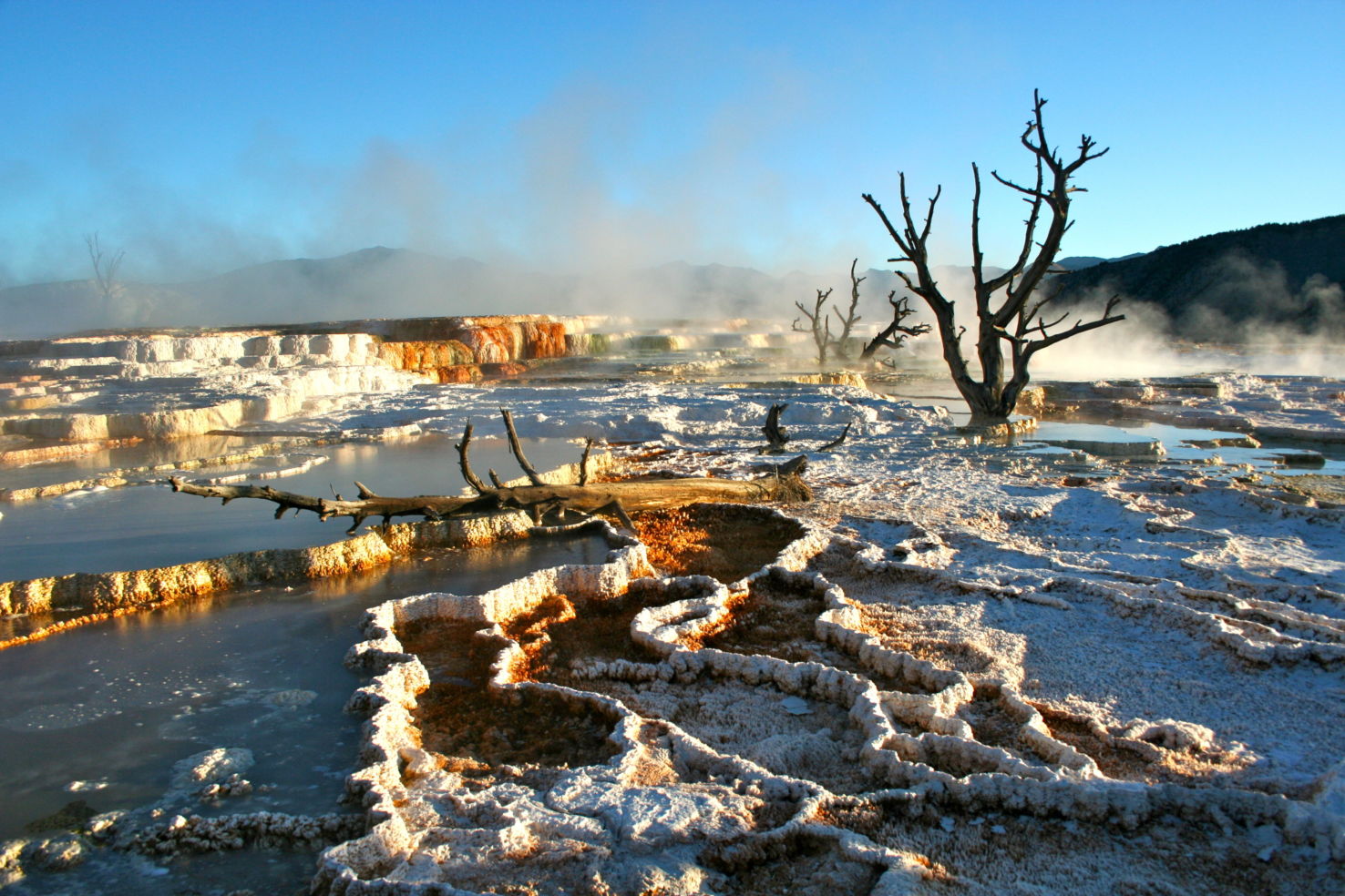 sunrise in Yellowstone National Park