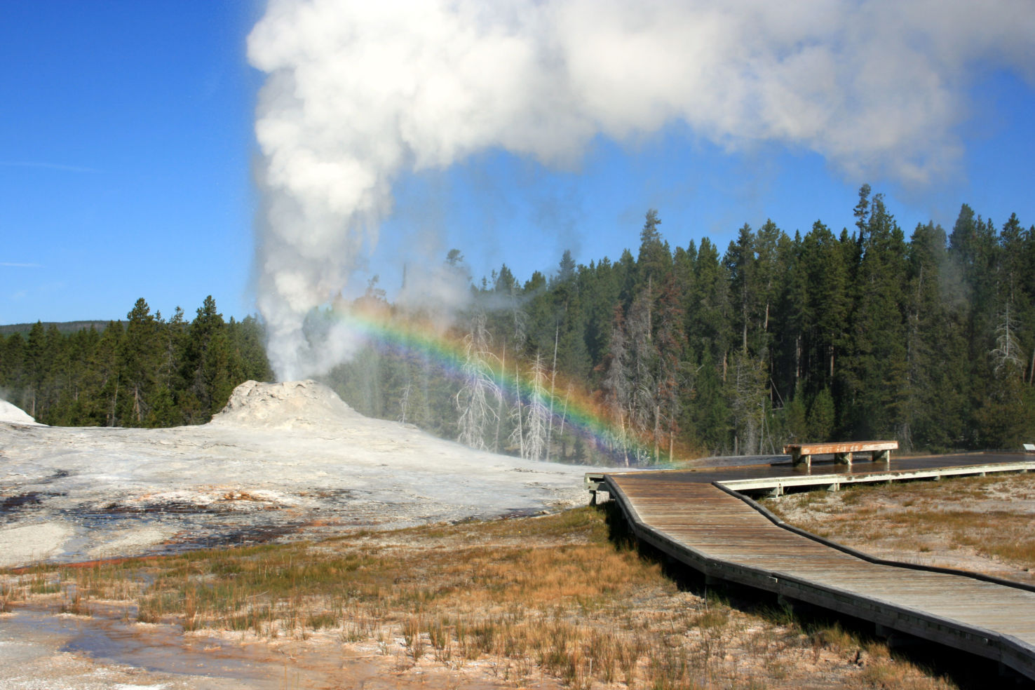 A geyser at Yellowstone National Park.