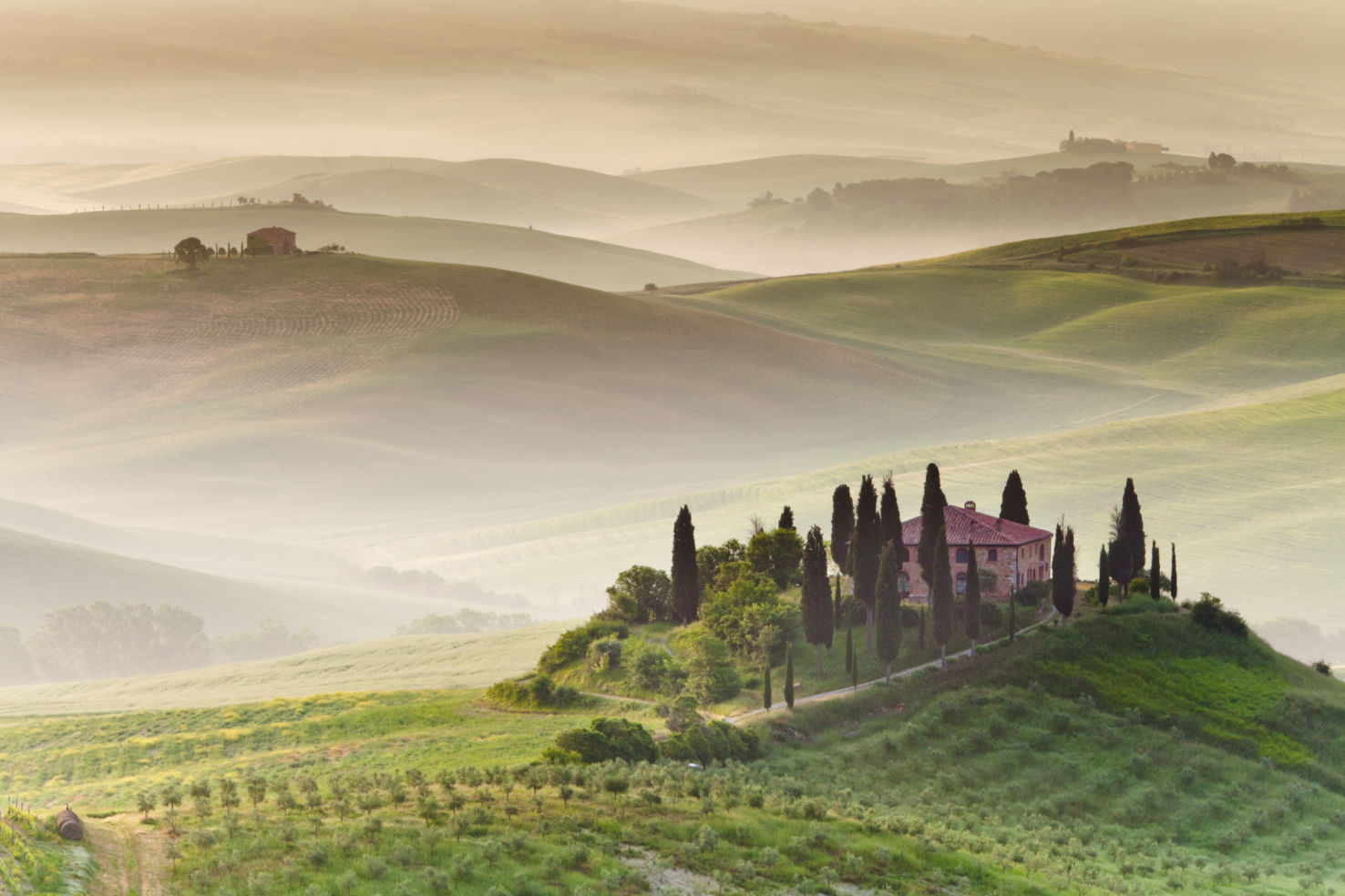 Countryside, San Quirico d´Orcia, Tuscany, Italy