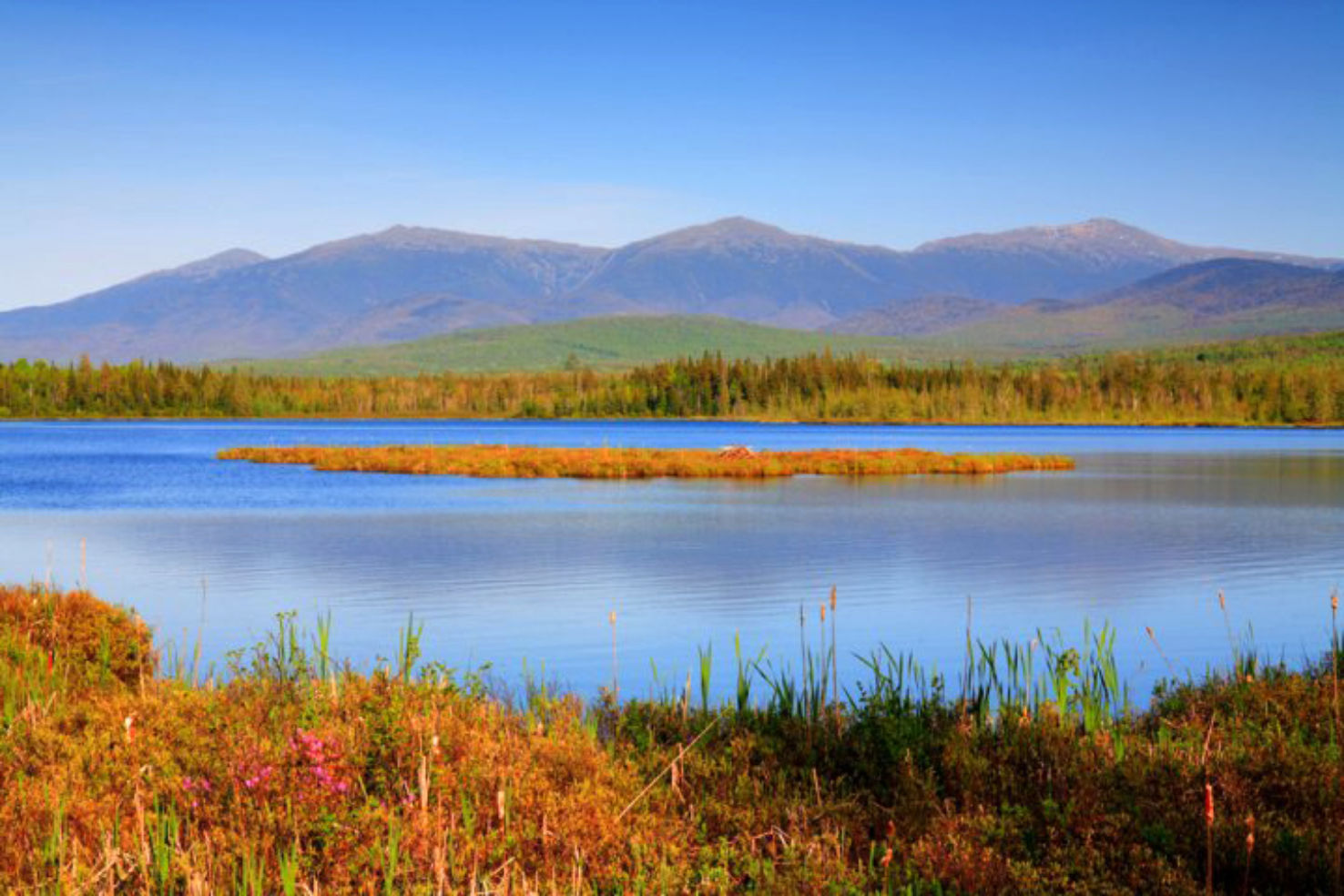 New Hampshire
