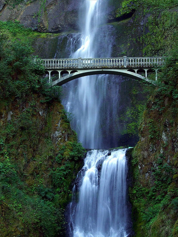 A view of a waterfall in Oregon's Columbia River Gorge