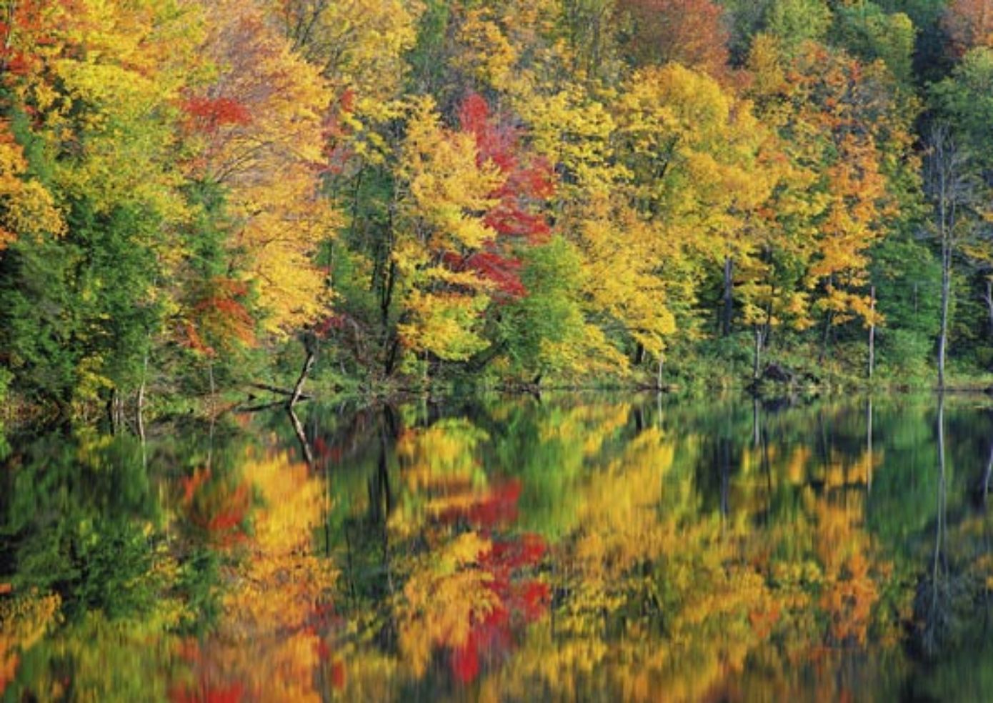 Leaf Peepers' Delight | Budget Travel