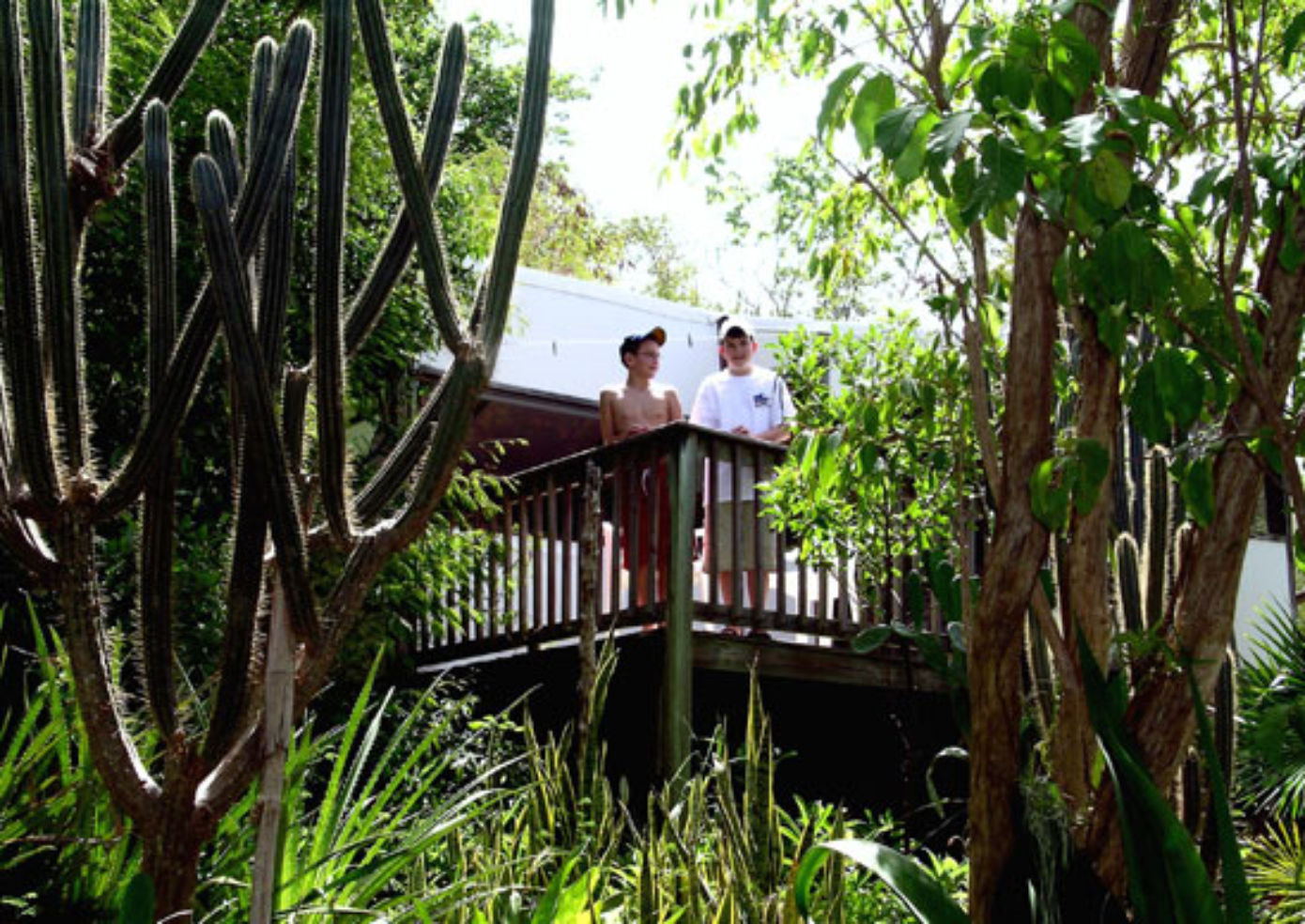 Maho Bay Camps are secluded among plants and trees.