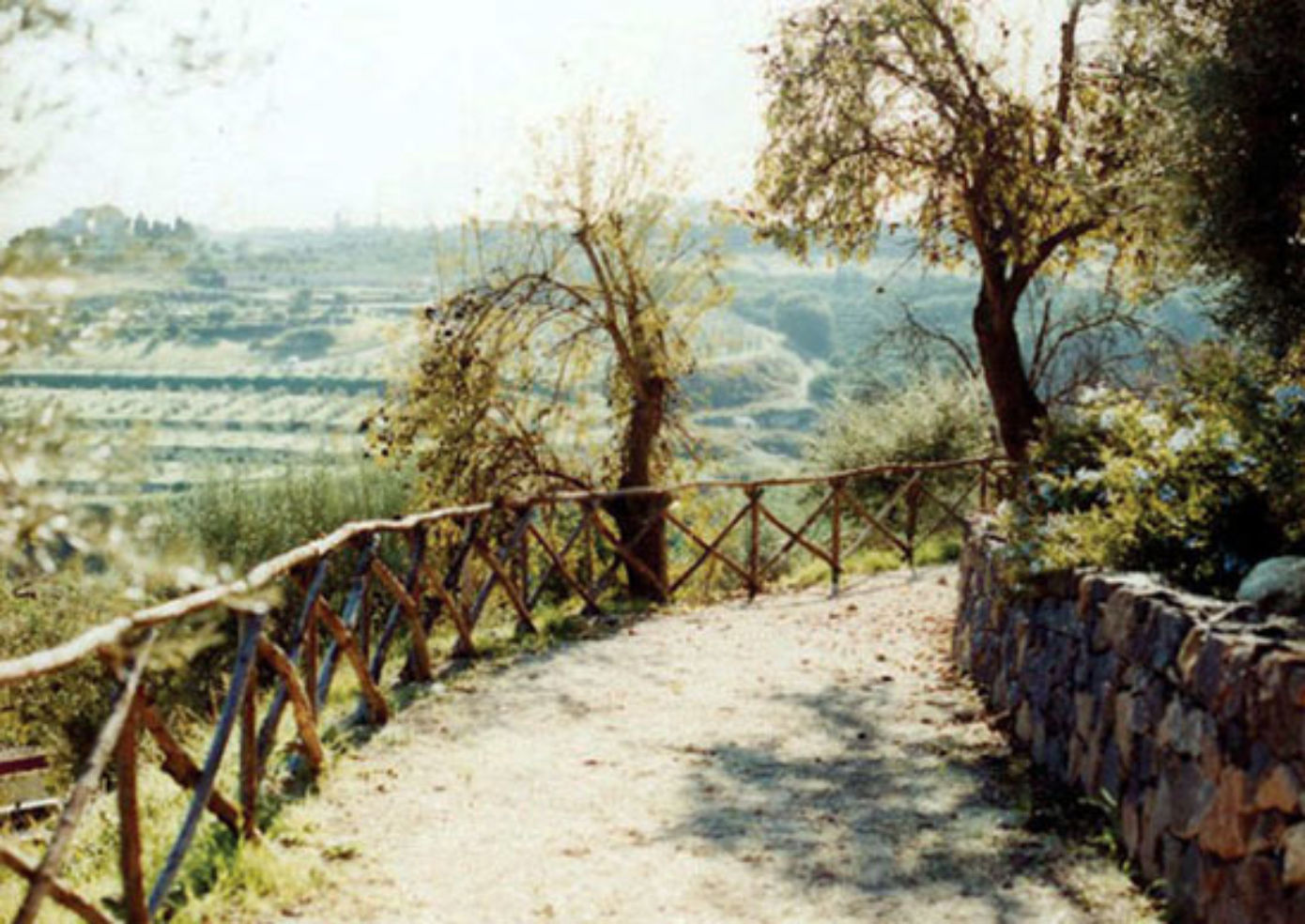 Tenuta di Roccadia