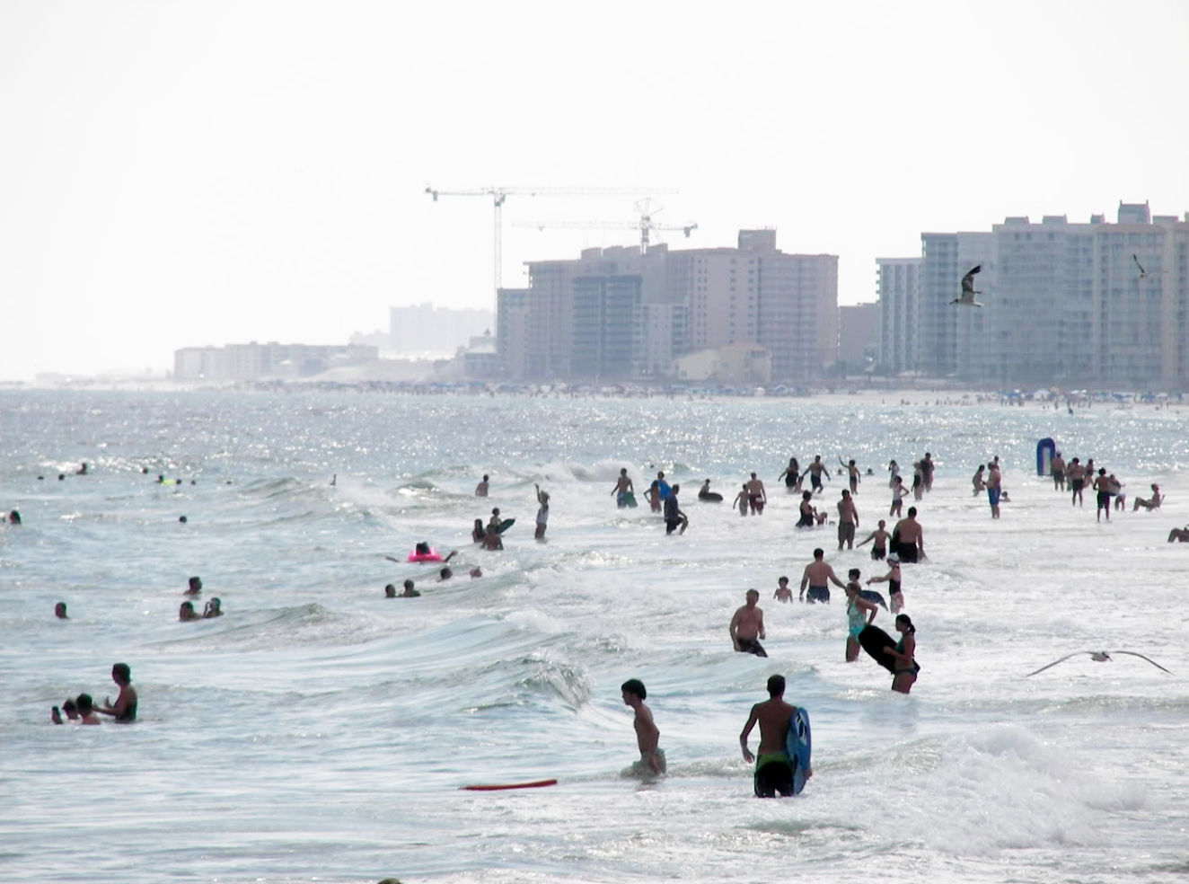 Swimming Gulf Shores