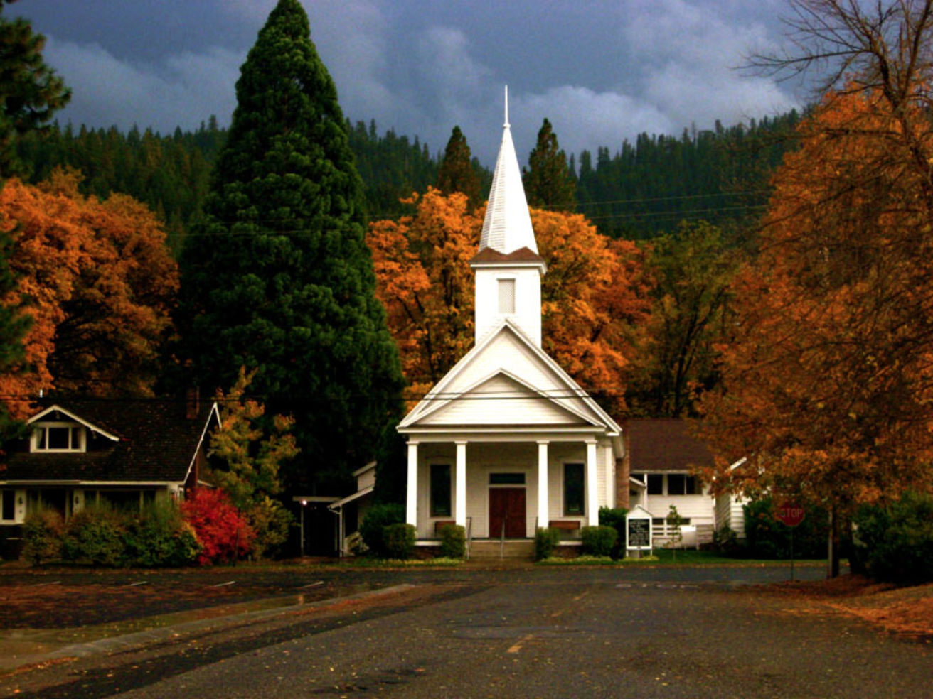 Quincy California Fall
