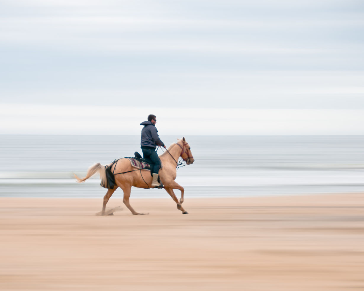 Virginia Beach, Horseback Riding