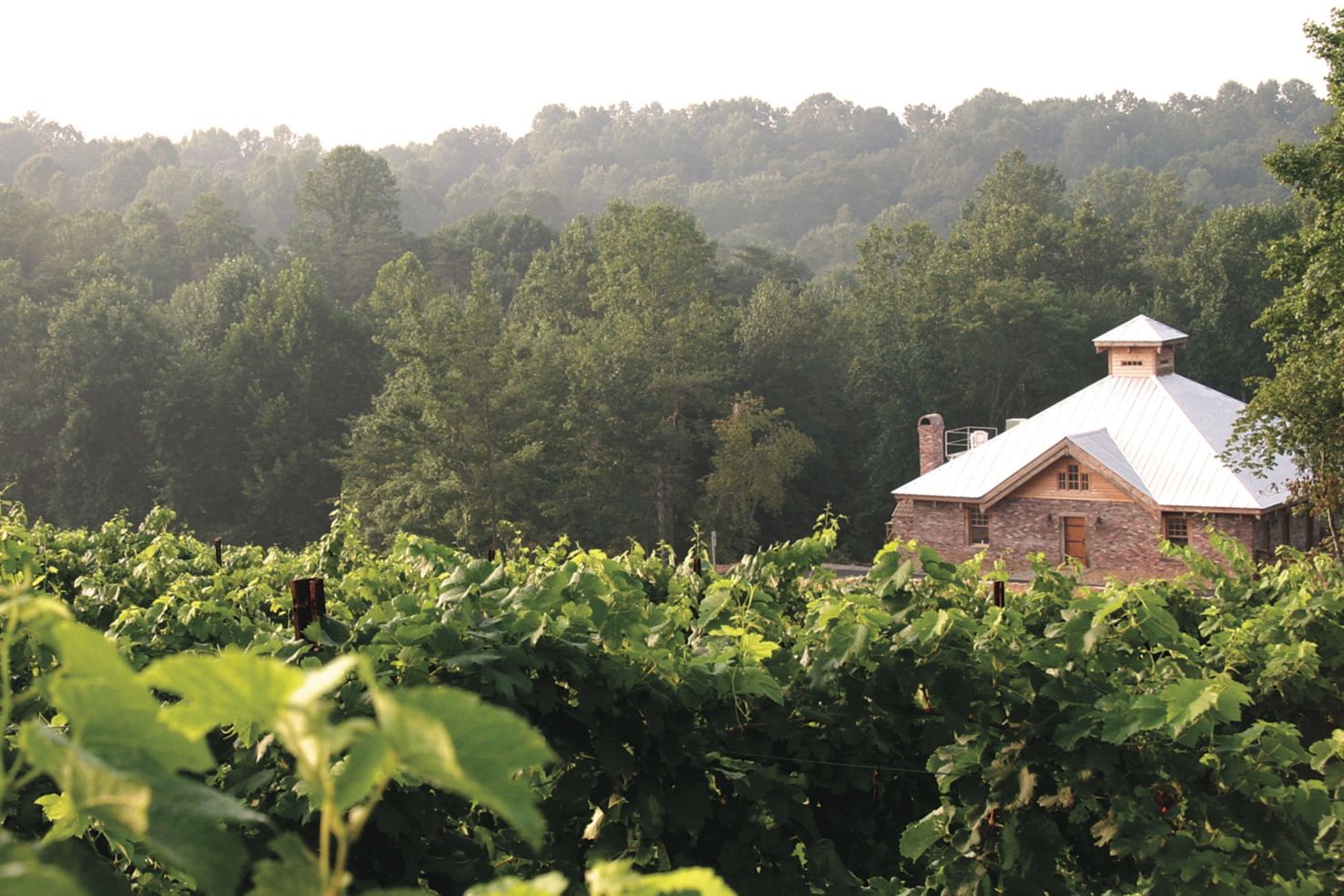 Elkin Creek Vineyards