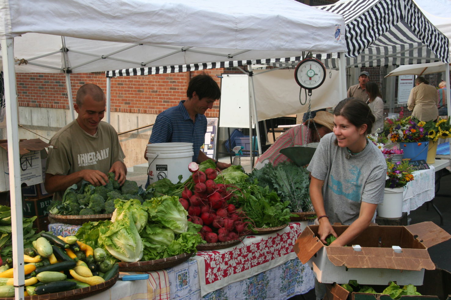 Farmers Market Saturday mornings in downtown Nevada City from mid-June to mid-November.
