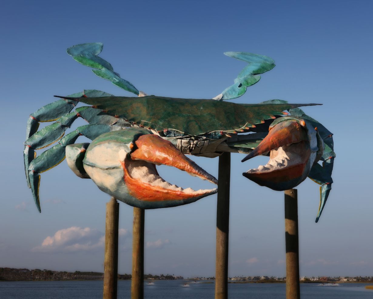 At the Entrance leading to our Beach is a gigantic Blue Crab