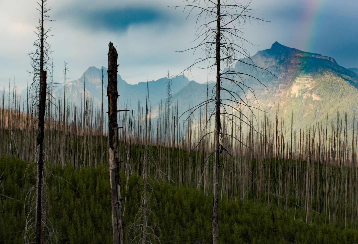 Glacier National Park