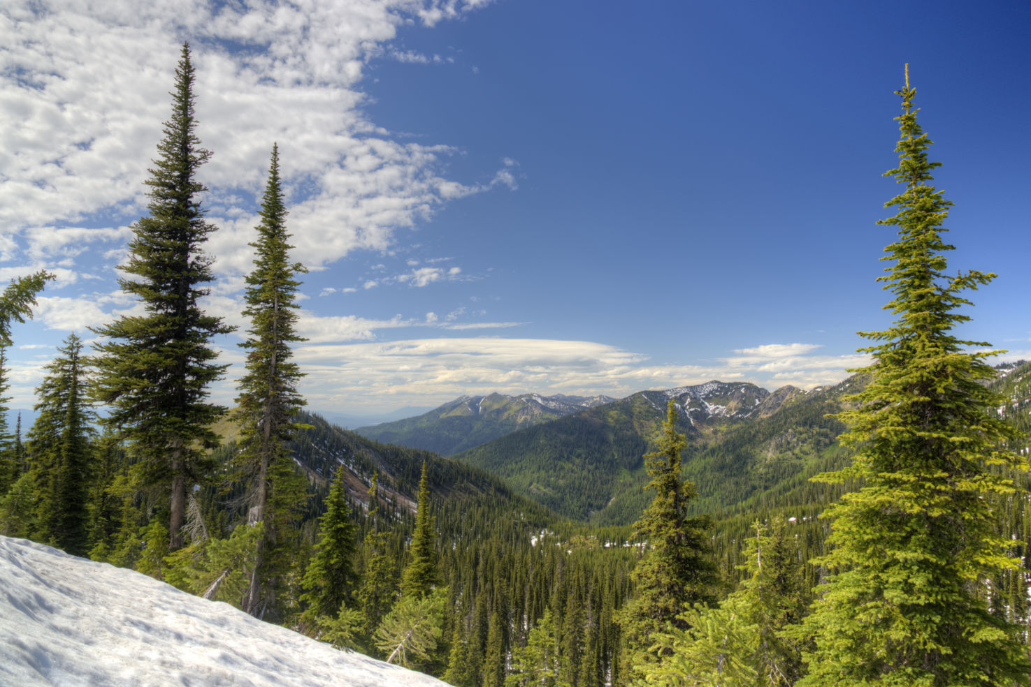 Jewel Basin, Montana