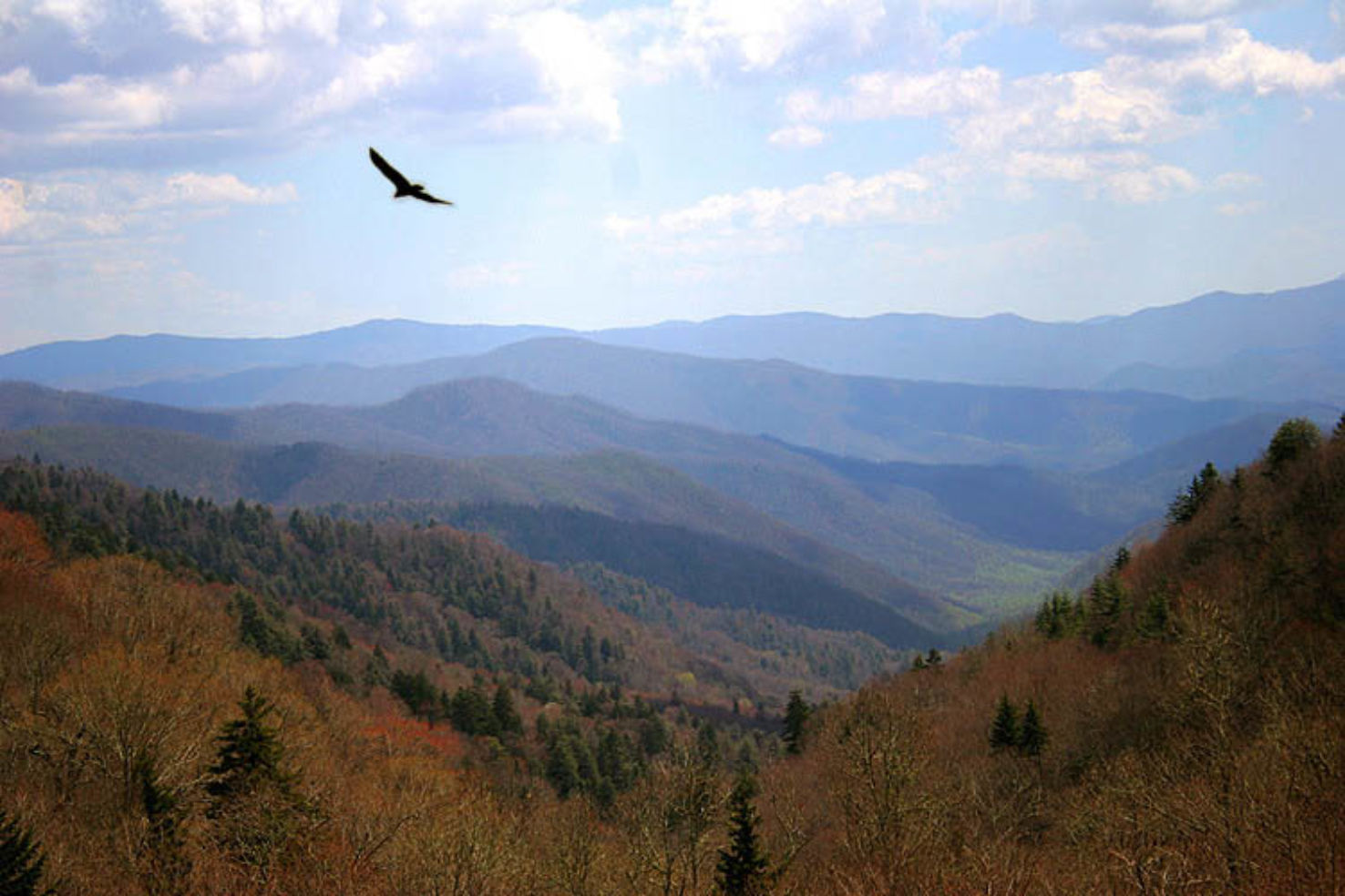 Smoky Mountains National Park