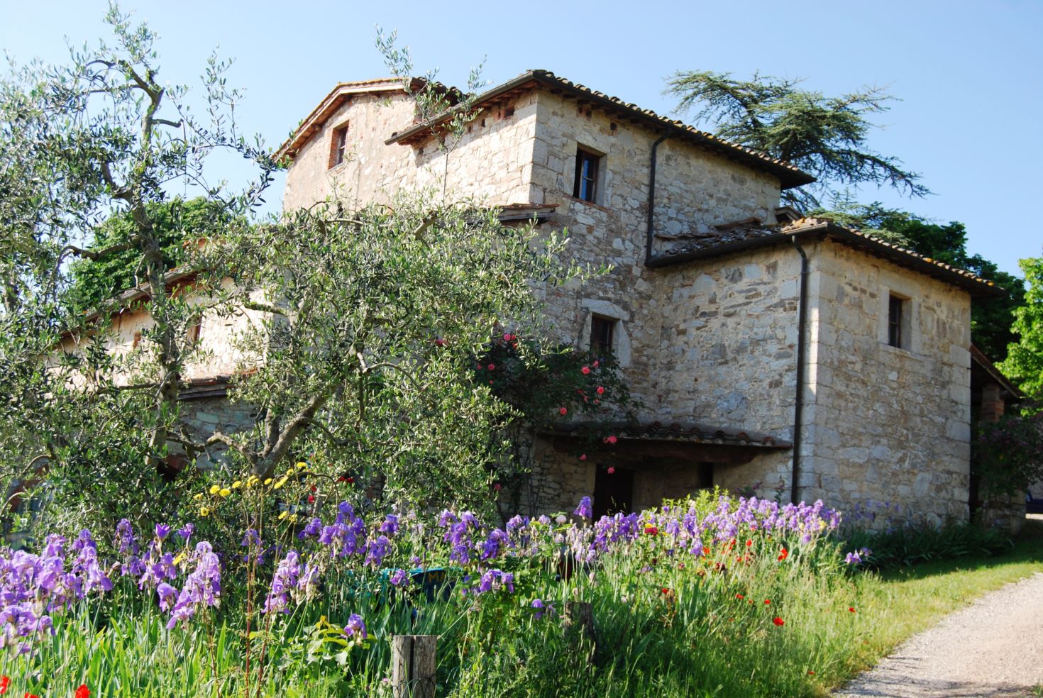 Toscana Mia, Tuscany, Italy, cooking school