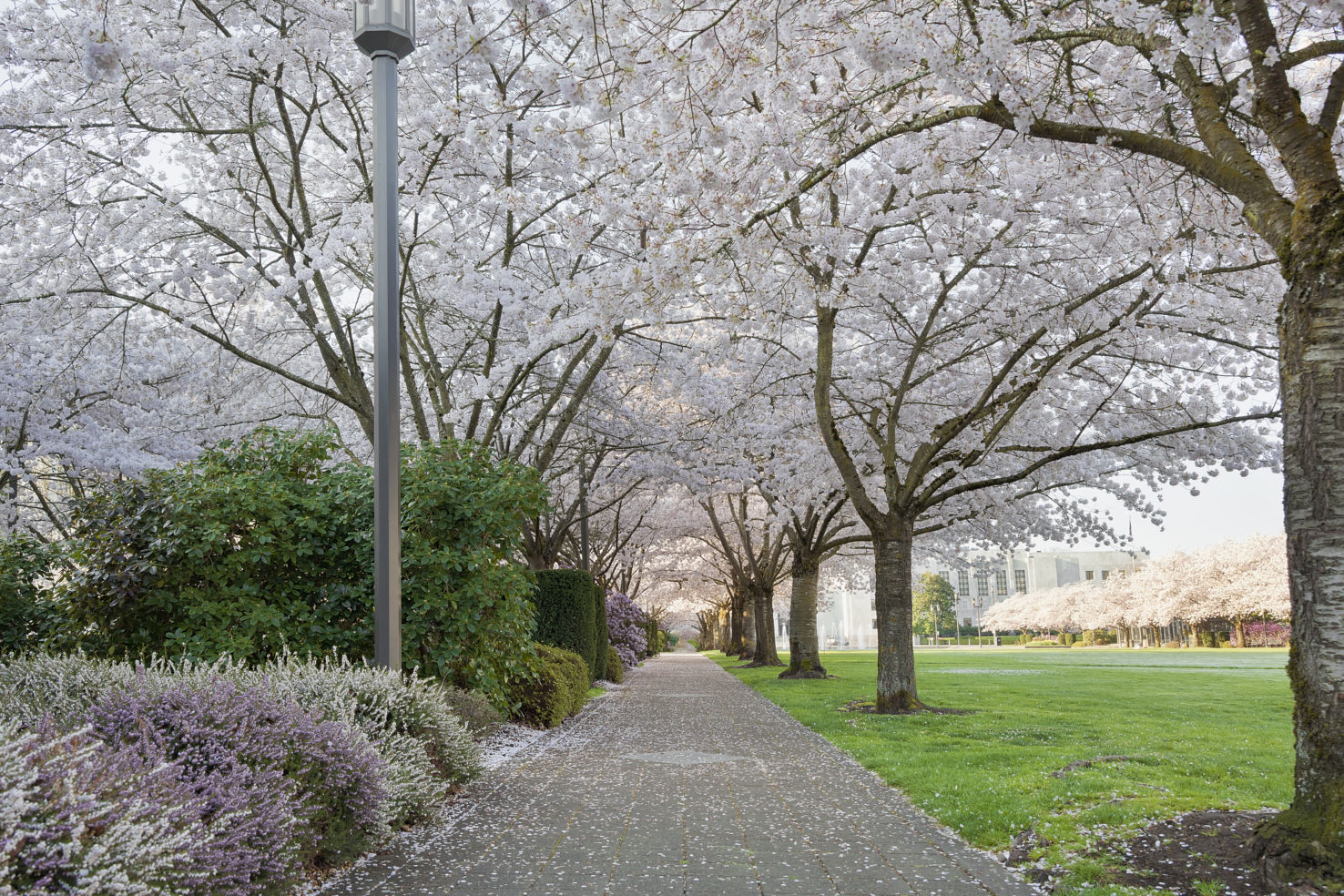 Salem Oregon