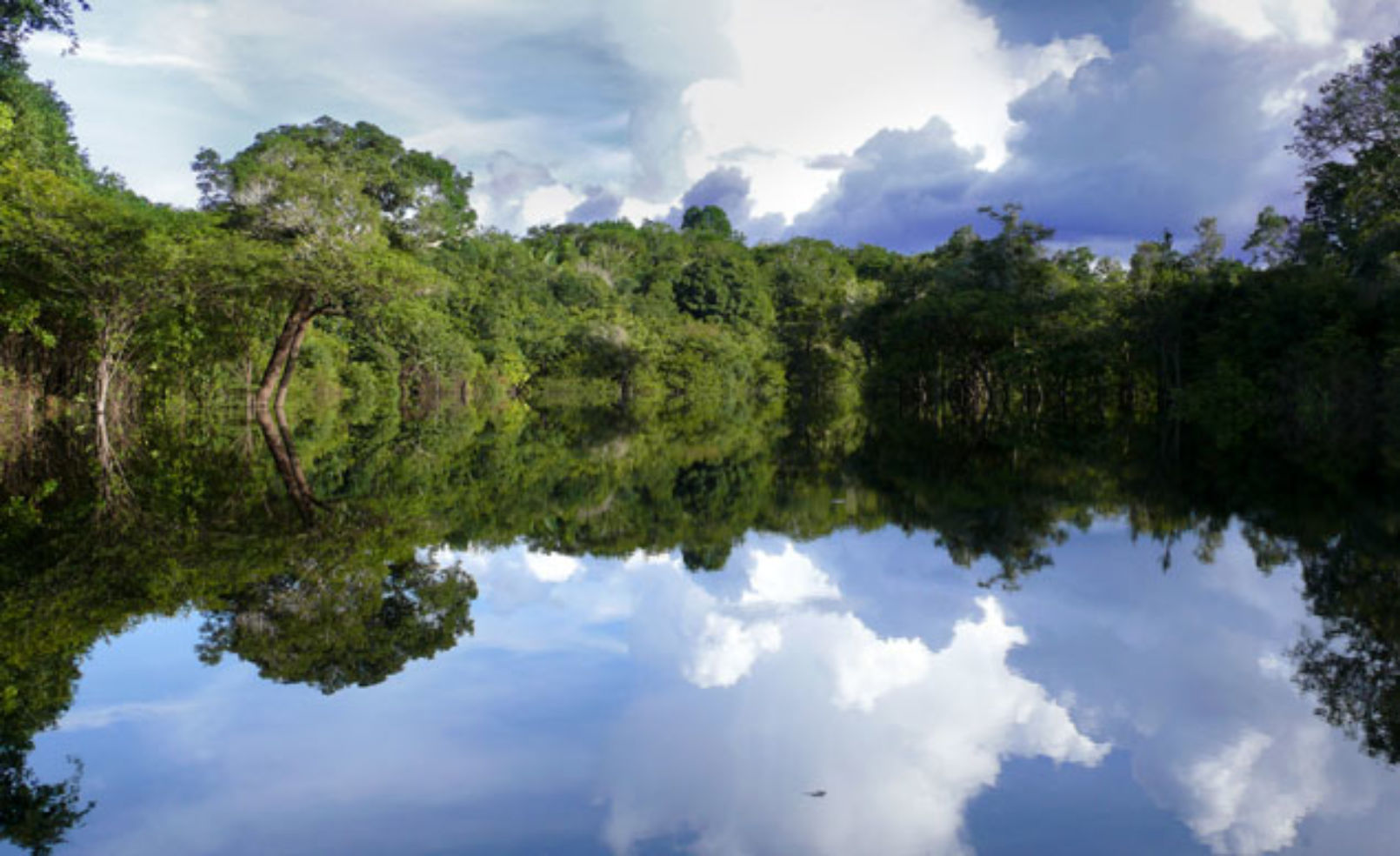 Amazon River