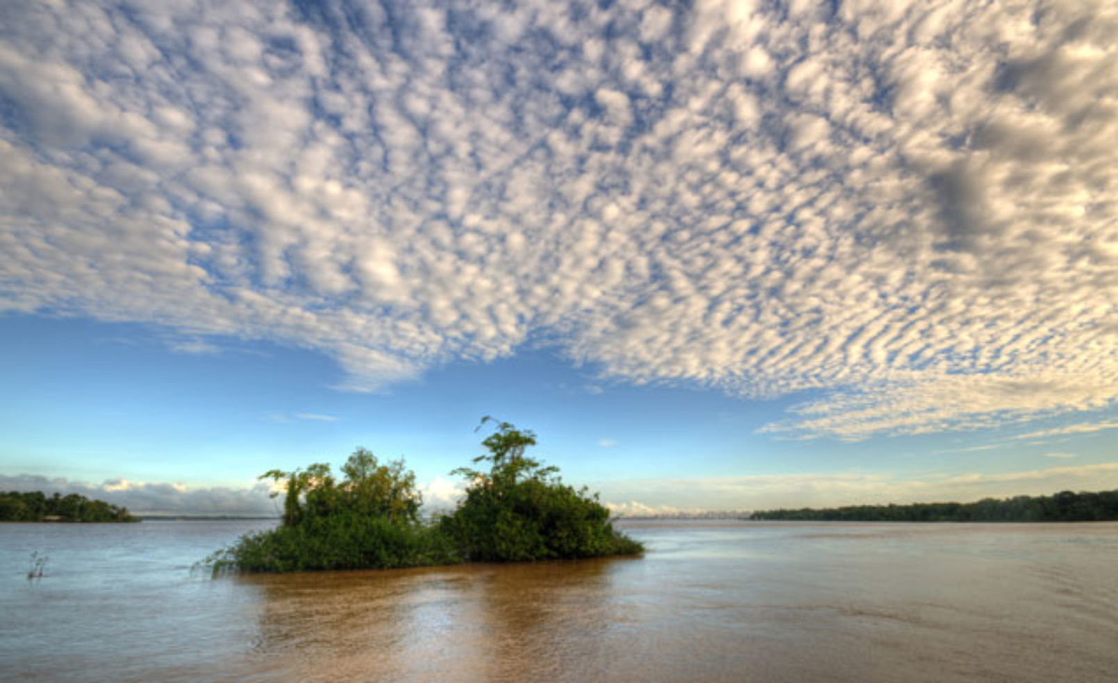 Amazon River