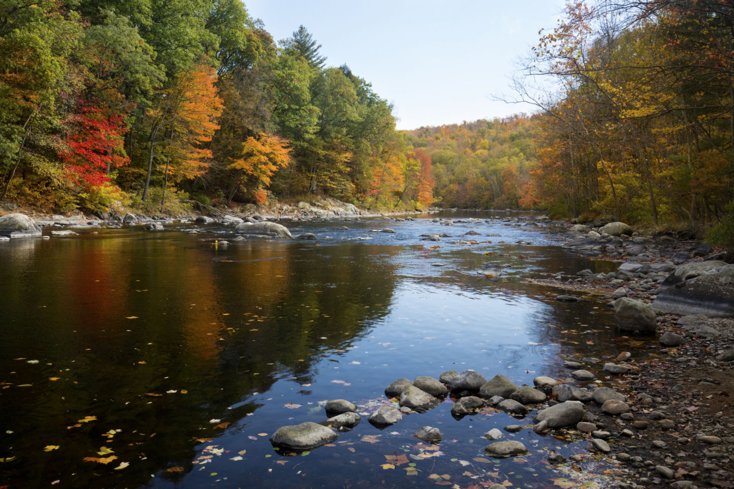 Fall Foliage along the Farmington River near Collinsville Connecticut